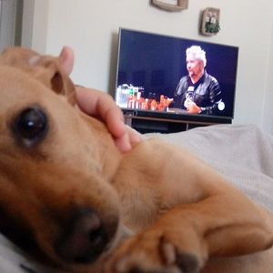 Meet your Posher, Ava